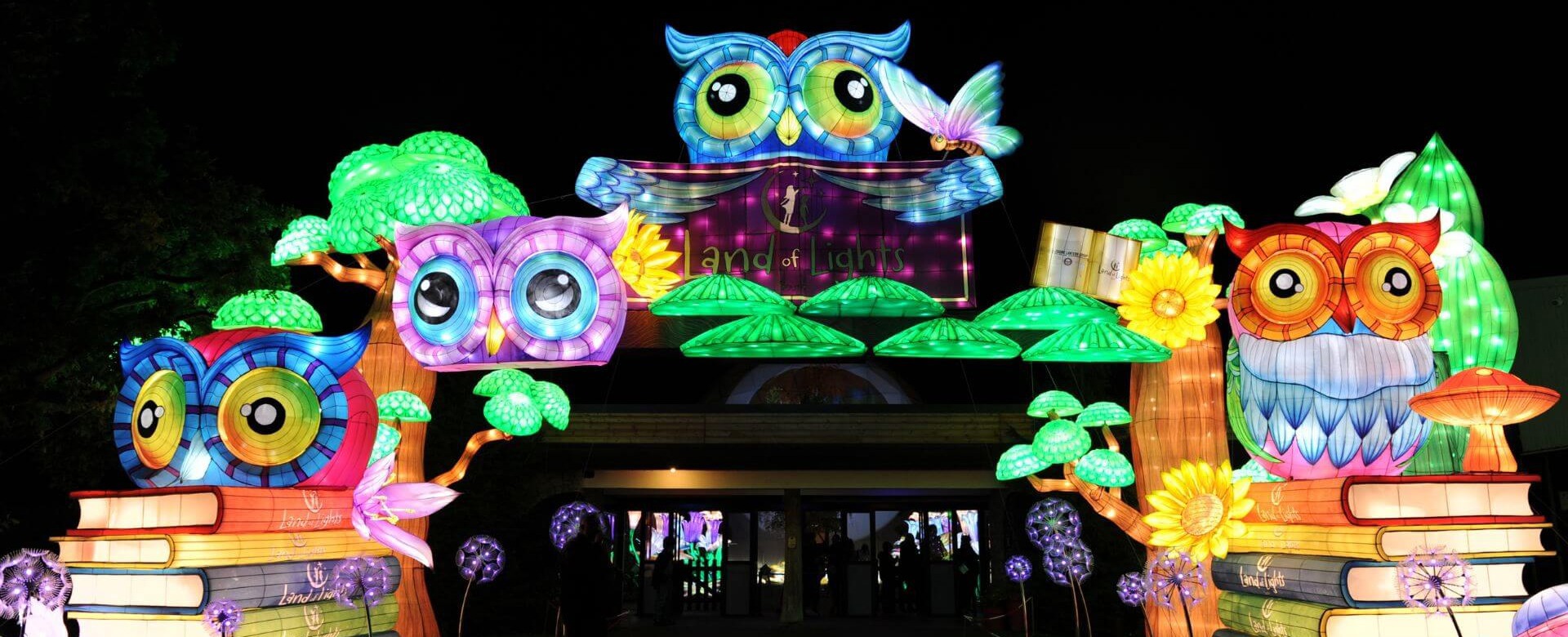 Land of Lights - Scene 2
