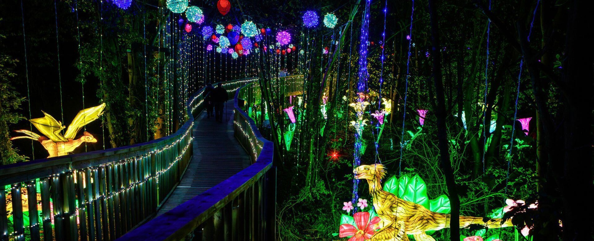 Land of Lights - Scene 5