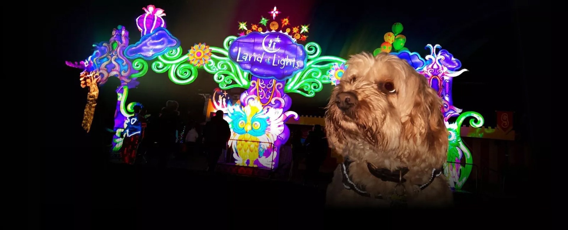 Land of Lights - Dog Friendly