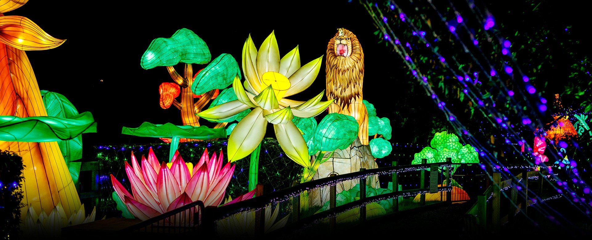 Land of Lights Scene 09