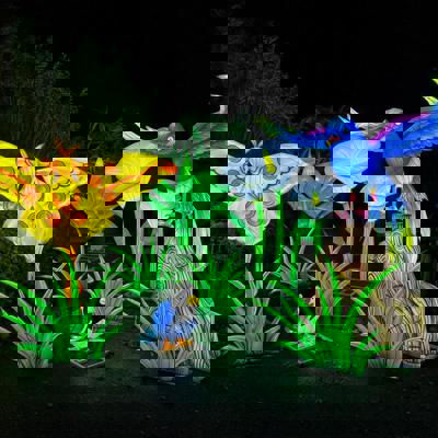 Gallery of glowing lanterns