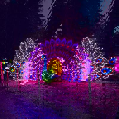 Gallery of glowing lanterns
