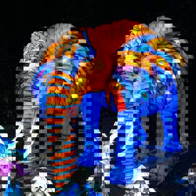 Gallery of glowing lanterns